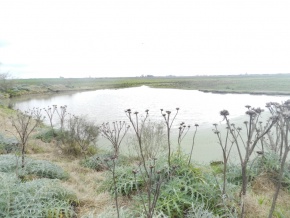 Campo agricola-ganadero: 360 has en venta en San Jose, Uruguay