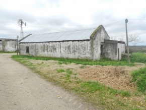 Campo agricola-ganadero: 360 has en venta en San Jose, Uruguay