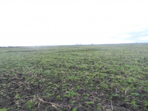 Campo agricola-ganadero: 360 has en venta en San Jose, Uruguay