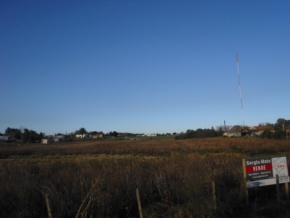 Terreno en venta en Real de San Carlos, Colonia, ideal para Fraccionamiento o Proyecto edilicio
