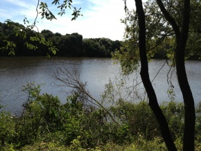 Chacra en venta con playa privada y rio navegable, Colonia, Uruguay