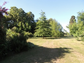 Chacra en venta con excelente vista al rio en San Pedro, Colonia, Uruguay