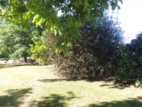 Chacra en venta con excelente vista al rio en San Pedro, Colonia, Uruguay