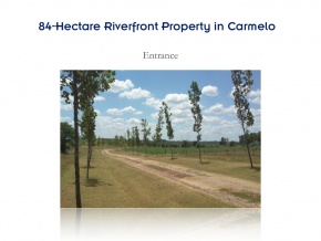 Campo de 84 hectares em venda, com excelente casa e 680 metros de litoral sobre o Arroio das Vacas, Carmelo, Colonia