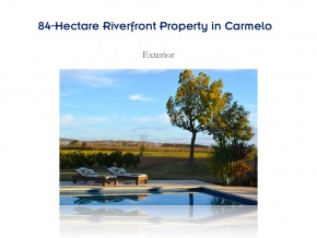 Campo de 84 has en ventam con 680 metros de costa, Arroyo de las Vacas Carmelo, Colonia