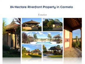 Campo de 84 has en ventam con 680 metros de costa, Arroyo de las Vacas Carmelo, Colonia