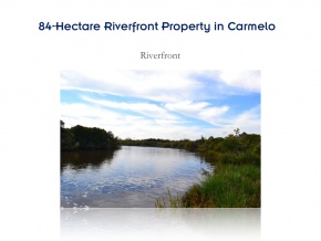 Campo de 84 has en ventam con 680 metros de costa, Arroyo de las Vacas Carmelo, Colonia