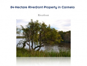 Campo de 84 has en ventam con 680 metros de costa, Arroyo de las Vacas Carmelo, Colonia
