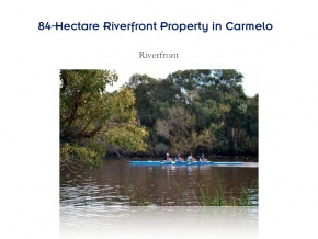 Campo de 84 has en ventam con 680 metros de costa, Arroyo de las Vacas Carmelo, Colonia
