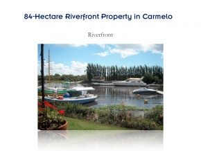 Campo de 84 has en ventam con 680 metros de costa, Arroyo de las Vacas Carmelo, Colonia