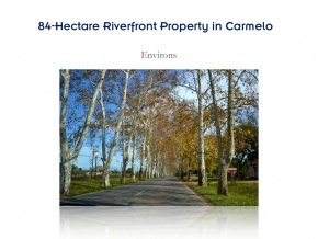 Campo de 84 has en ventam con 680 metros de costa, Arroyo de las Vacas Carmelo, Colonia