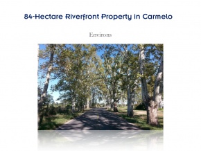 Campo de 84 has en ventam con 680 metros de costa, Arroyo de las Vacas Carmelo, Colonia