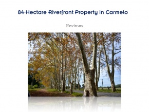 Campo de 84 has en ventam con 680 metros de costa, Arroyo de las Vacas Carmelo, Colonia