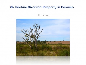 Campo de 84 hectares em venda, com excelente casa e 680 metros de litoral sobre o Arroio das Vacas, Carmelo, Colonia