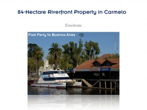 Campo de 84 has en ventam con 680 metros de costa, Arroyo de las Vacas Carmelo, Colonia