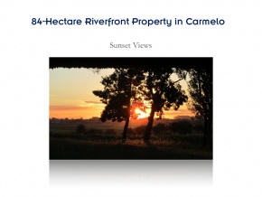 Campo de 84 has en ventam con 680 metros de costa, Arroyo de las Vacas Carmelo, Colonia