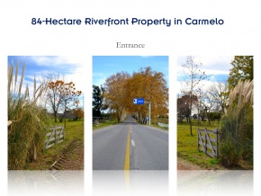 Campo de 84 has en ventam con 680 metros de costa, Arroyo de las Vacas Carmelo, Colonia