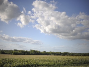 Campo agricola en venta: 134 hectareas con costa al Ri­o San Juan, Colonia