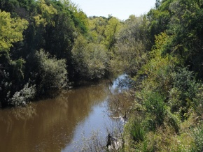 Campo agricola en venta: 134 hectareas con costa al Ri­o San Juan, Colonia