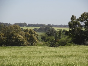 2.5 acre farms in San Pedro, Colonia with important river and countryside views