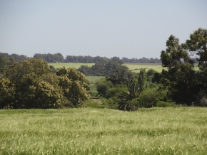 Chacras Miralrio: fracciones de 1 ha en San Pedro, Colonia, importantes vistas