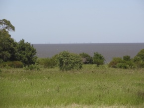 Chacaras de 1 hectare em San Pedro, Colonia, com importantes vistas ao rio e a campina
