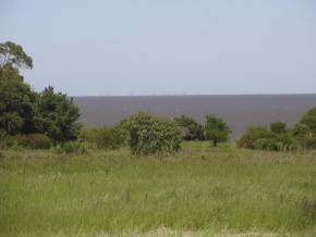 Chacras Miralrio: fracciones de 1 ha en San Pedro, Colonia, importantes vistas