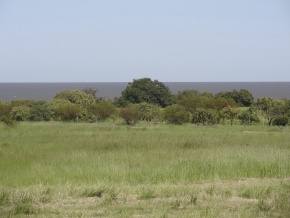 Chacras Miralrio: fracciones de 1 ha en San Pedro, Colonia, importantes vistas